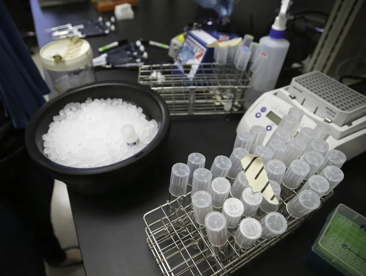 Working in lab