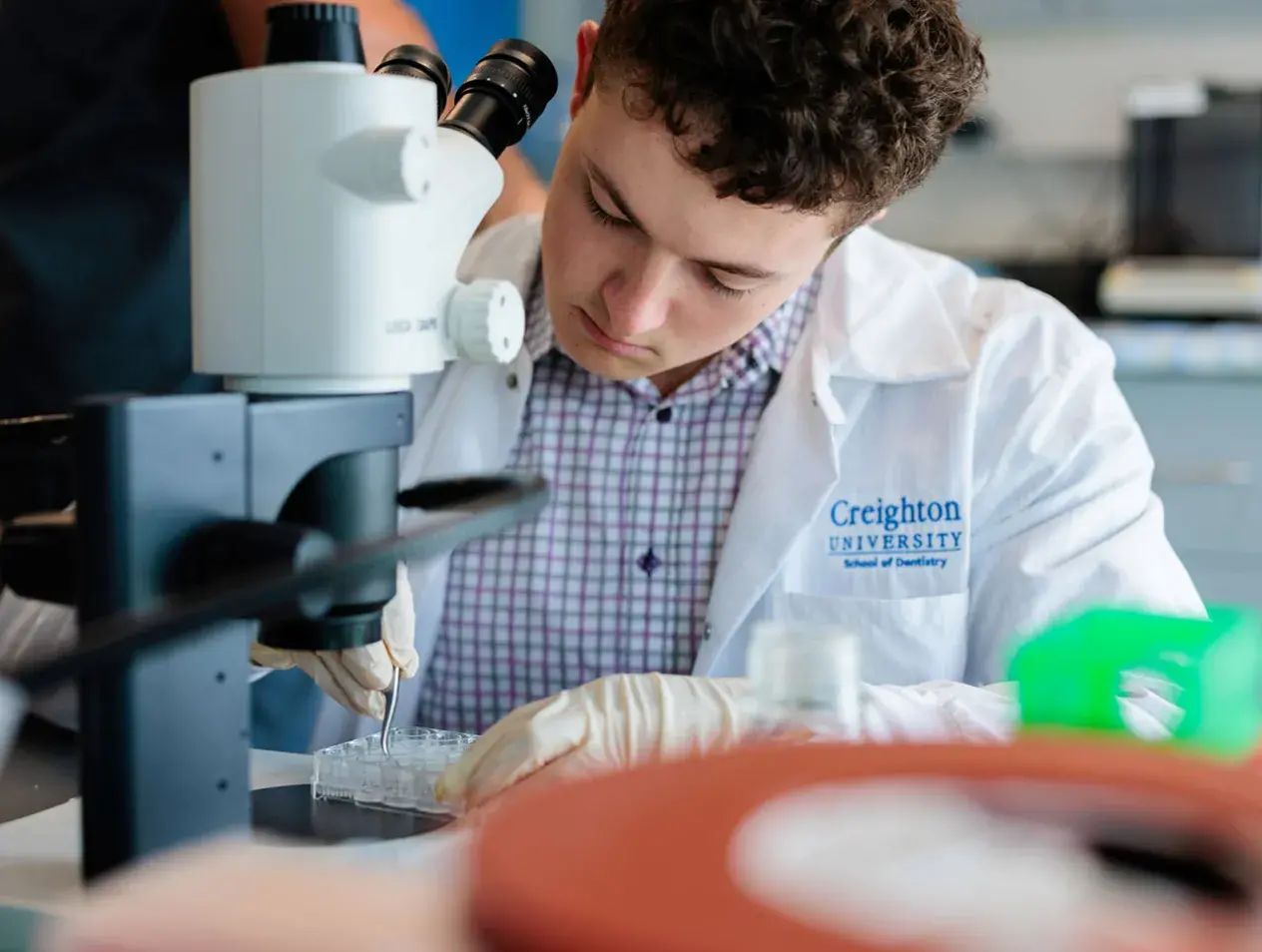 Dentist working in lab
