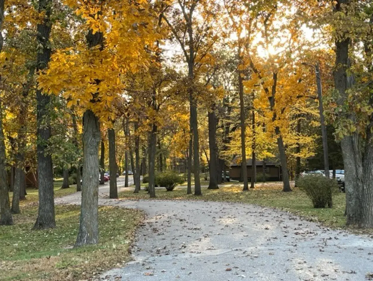 CURC Fall 2023-1.JPG
