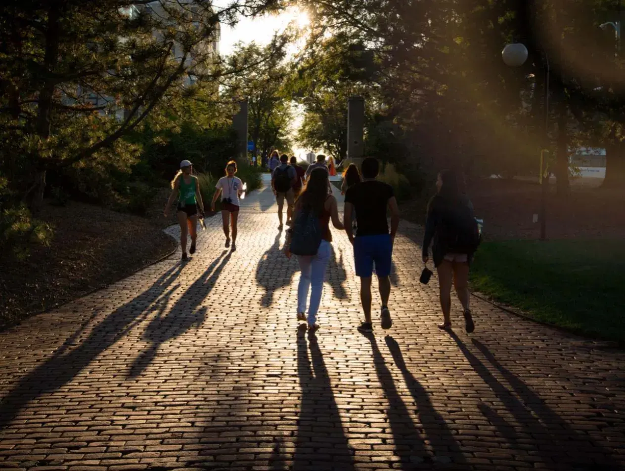 Campus at sunset
