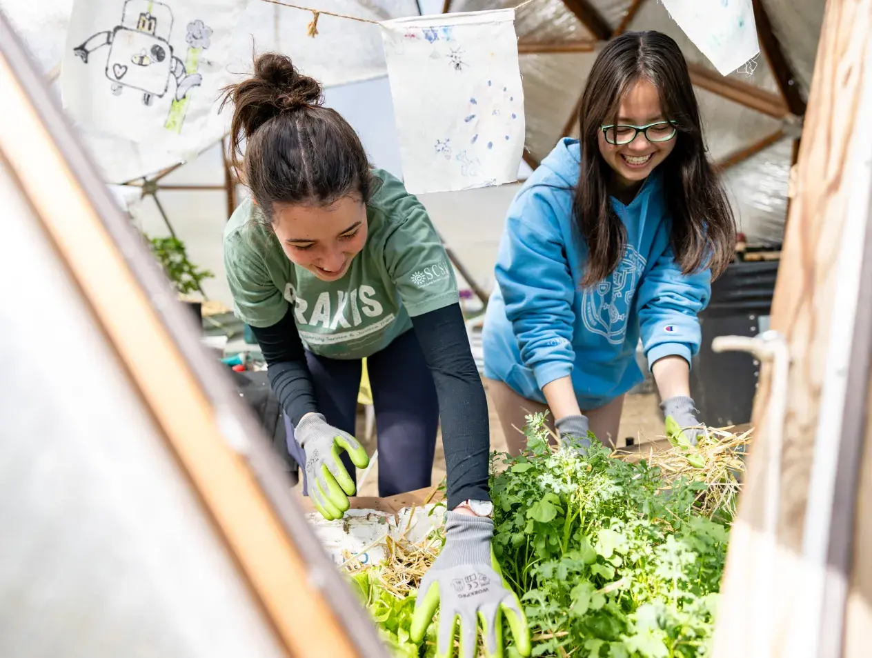 SCSJ volunteers at City Sprouts