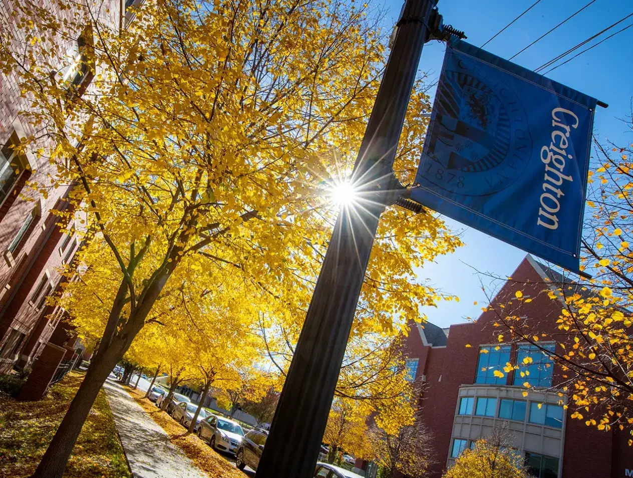 Creighton flag stand on campus on sunny autumn day.