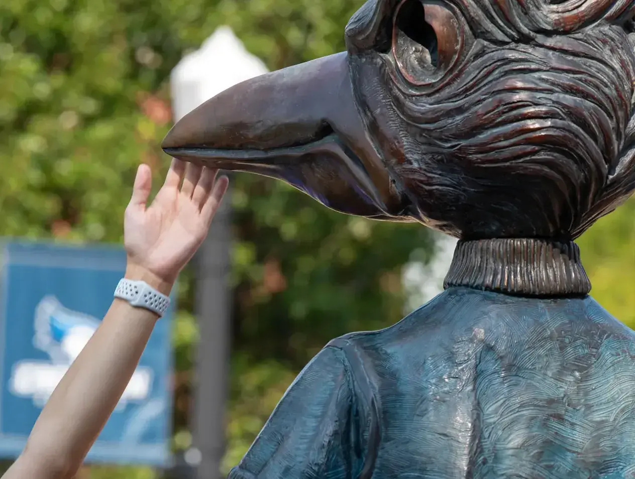 Blue Jay statue on campus.