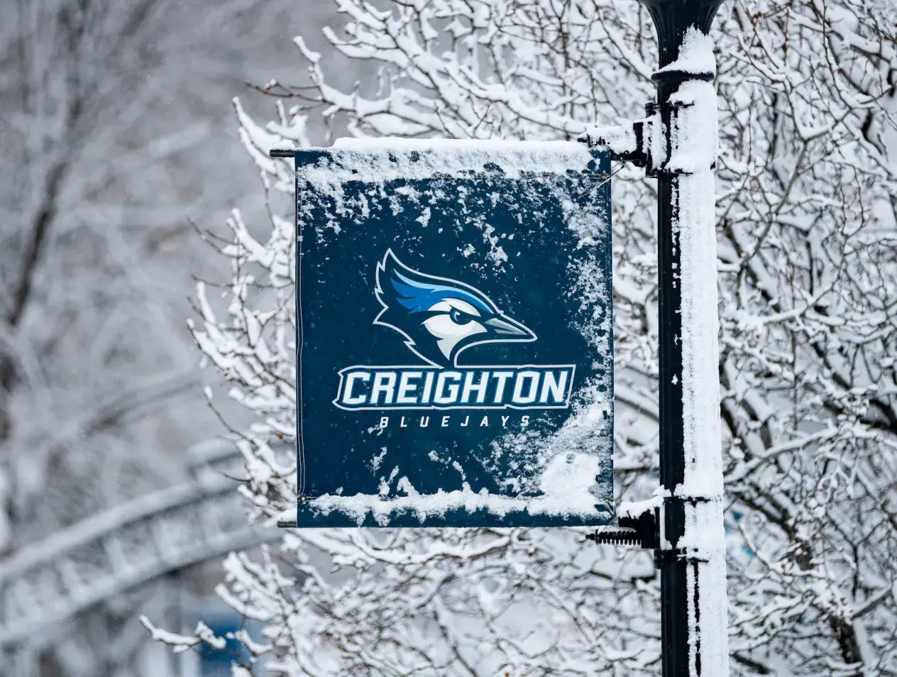 Bluejay banner on pole in snowy winter scene.