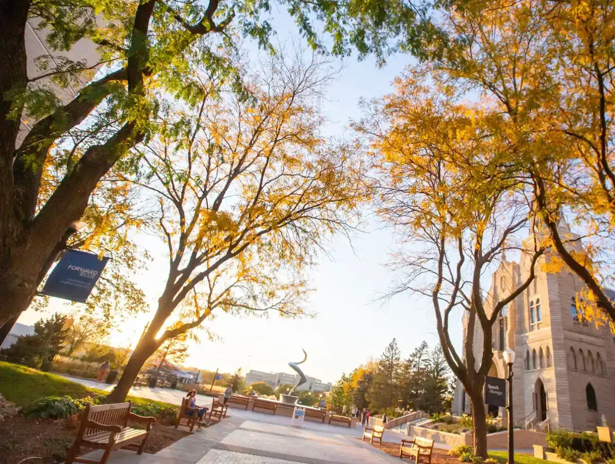 Trees lit on campus in morning sun.