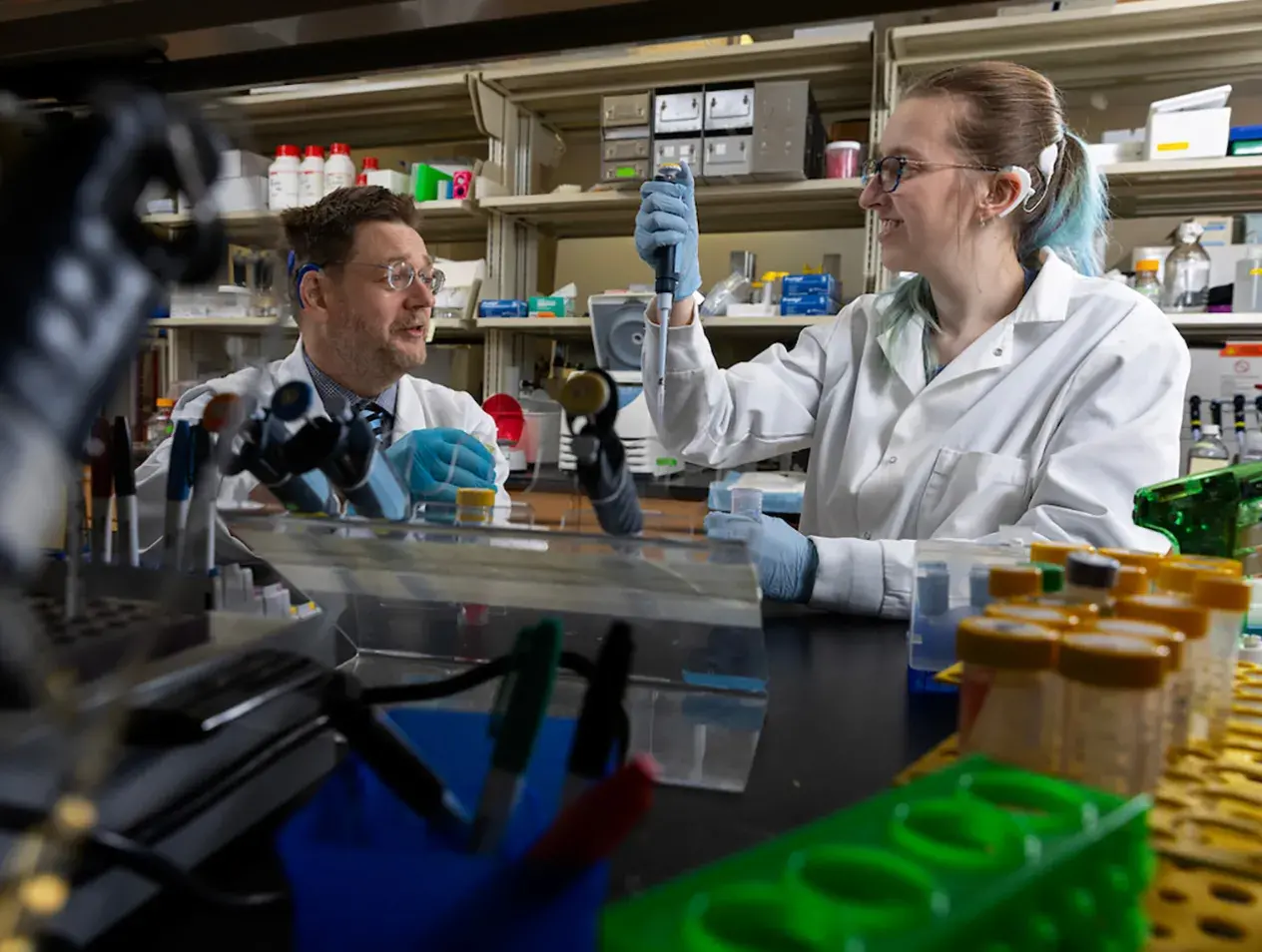 Bellucci lab setting