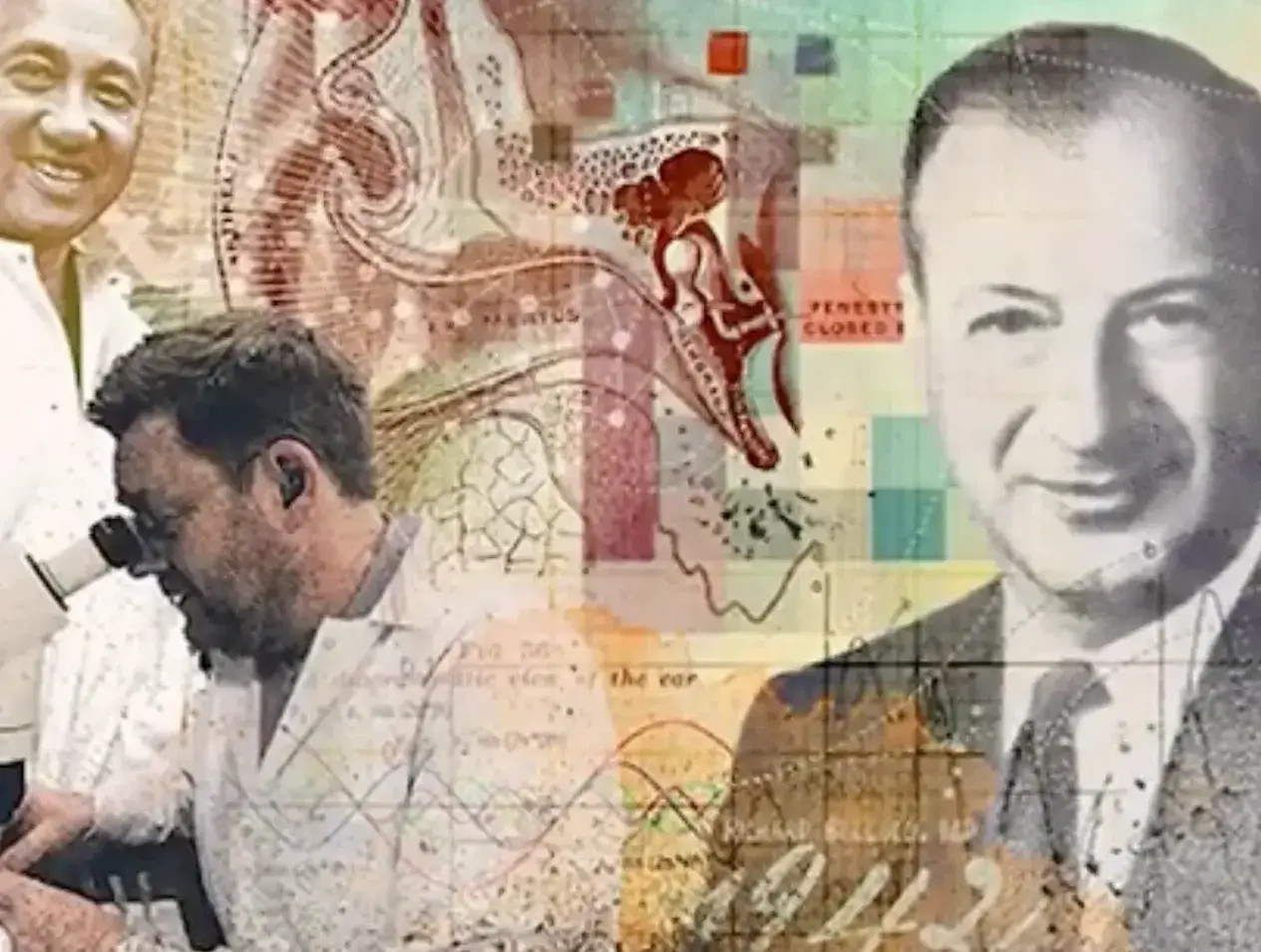 Collage of Bellucci related imagery