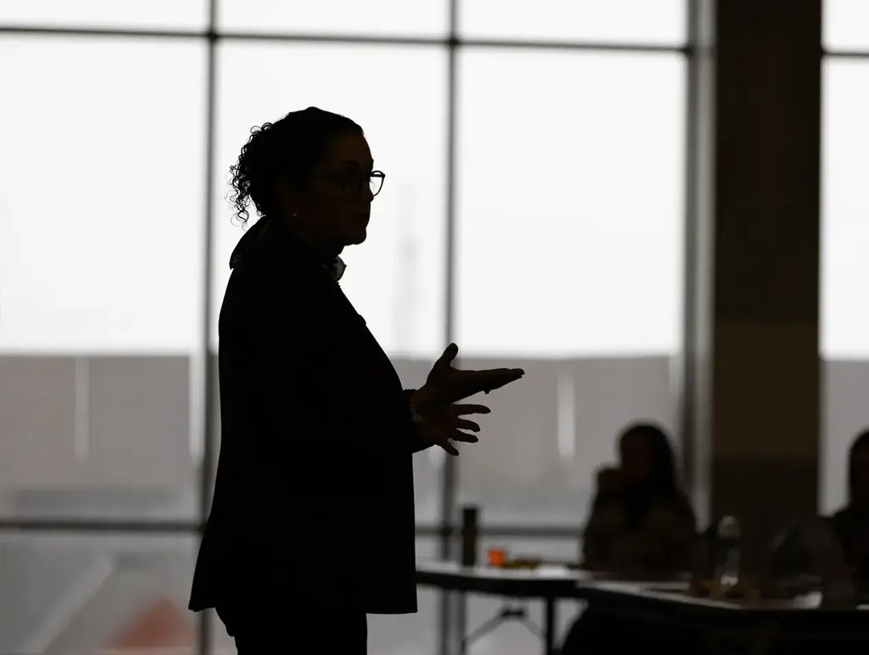 Faculty member teaching