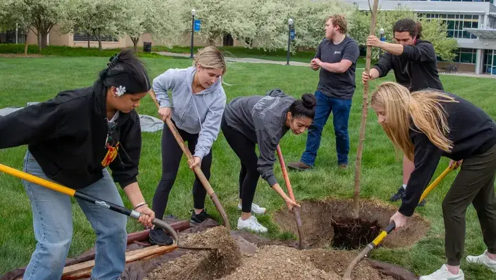 Students working together to plant trees.