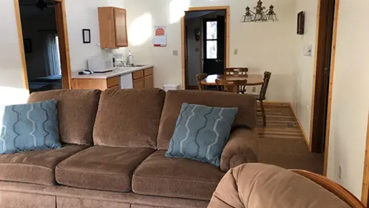 Modern cabin living room