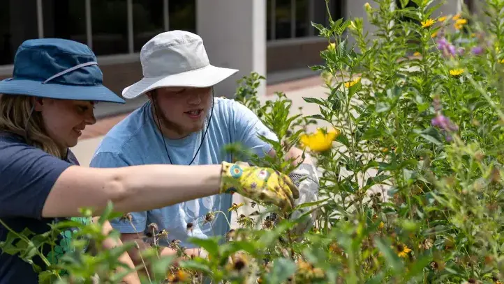 Students cultivating the Pollinator Garden.