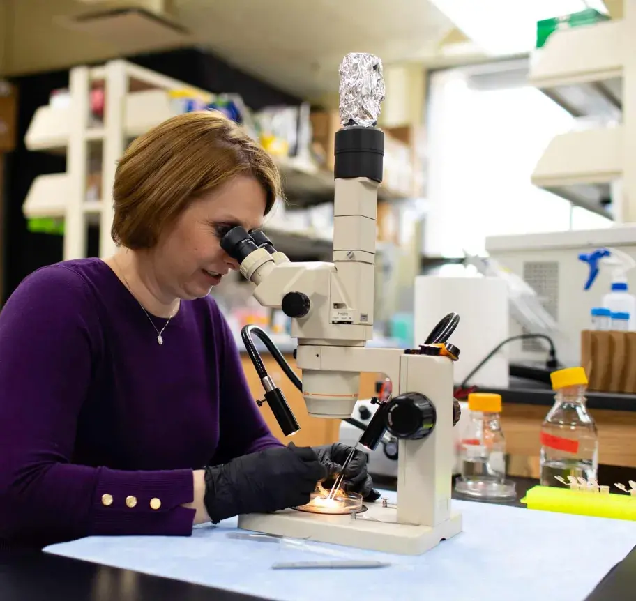 Faculty using microscope