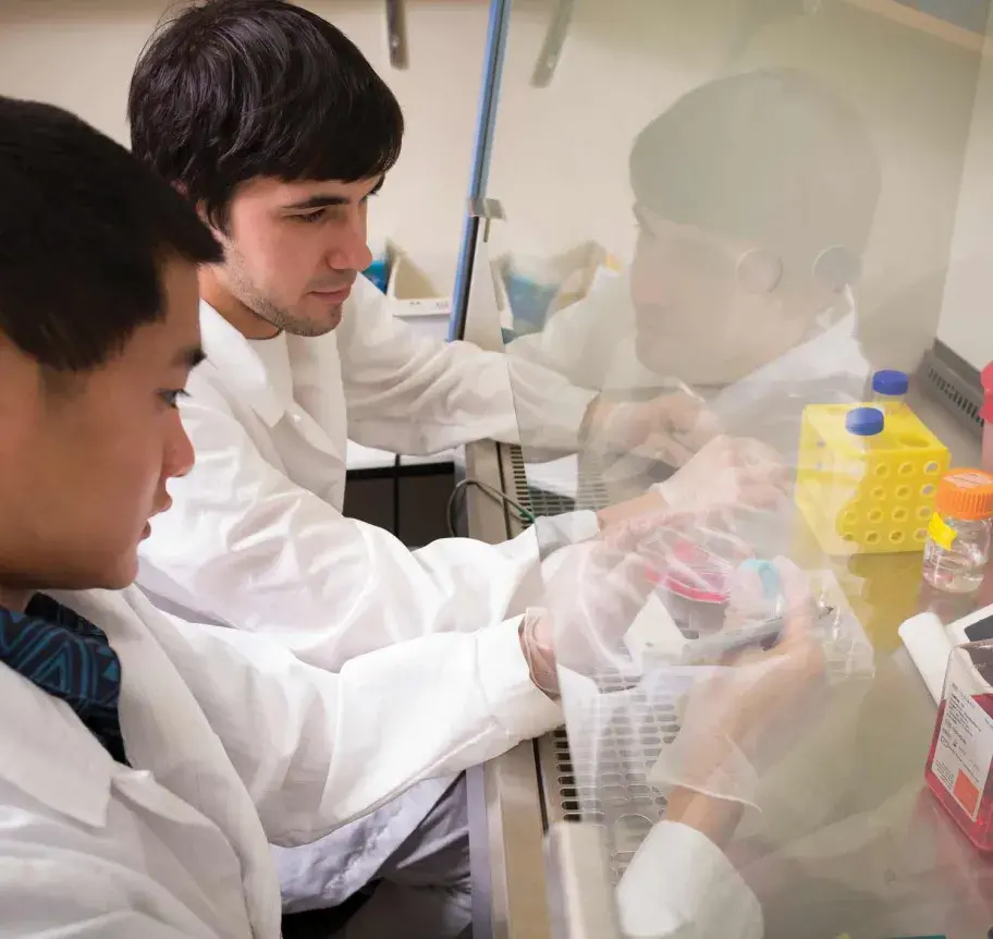 Students in lab