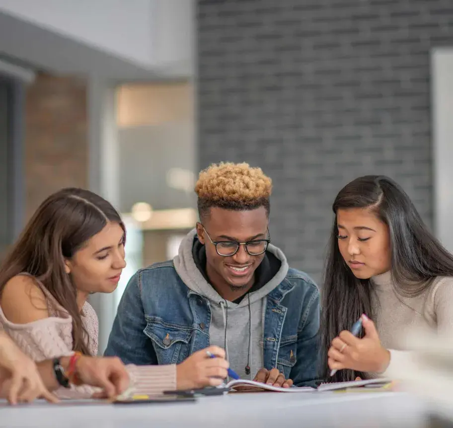 Students studying together