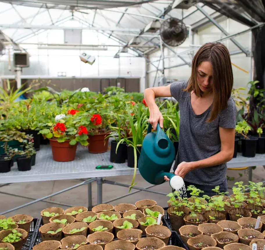 Student in greenhouse