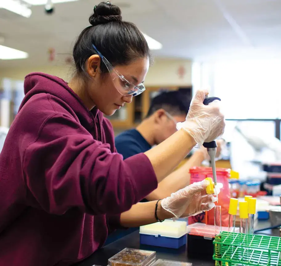Students working in lab