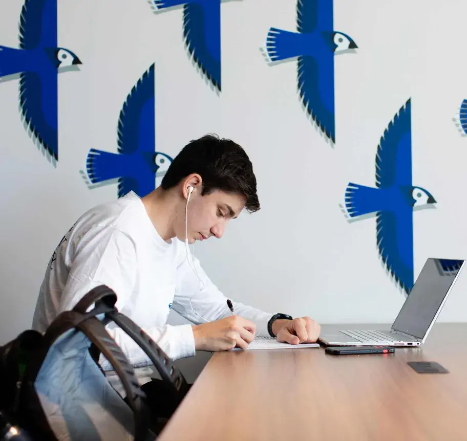 Student studying at laptop