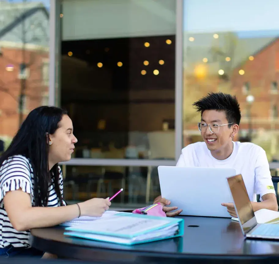 Students studying together outdoors
