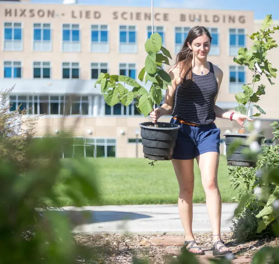 Sustainability student planting trees