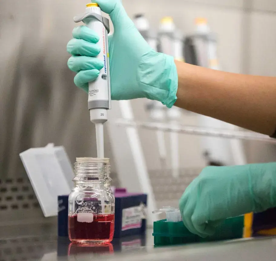 Close view of science lab chemicals and student hands