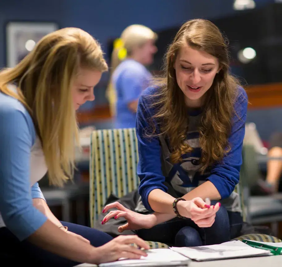 Students studying together