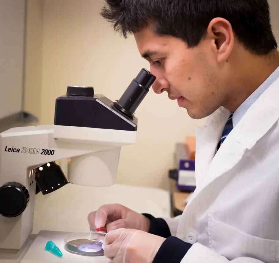Creighton student using microscope