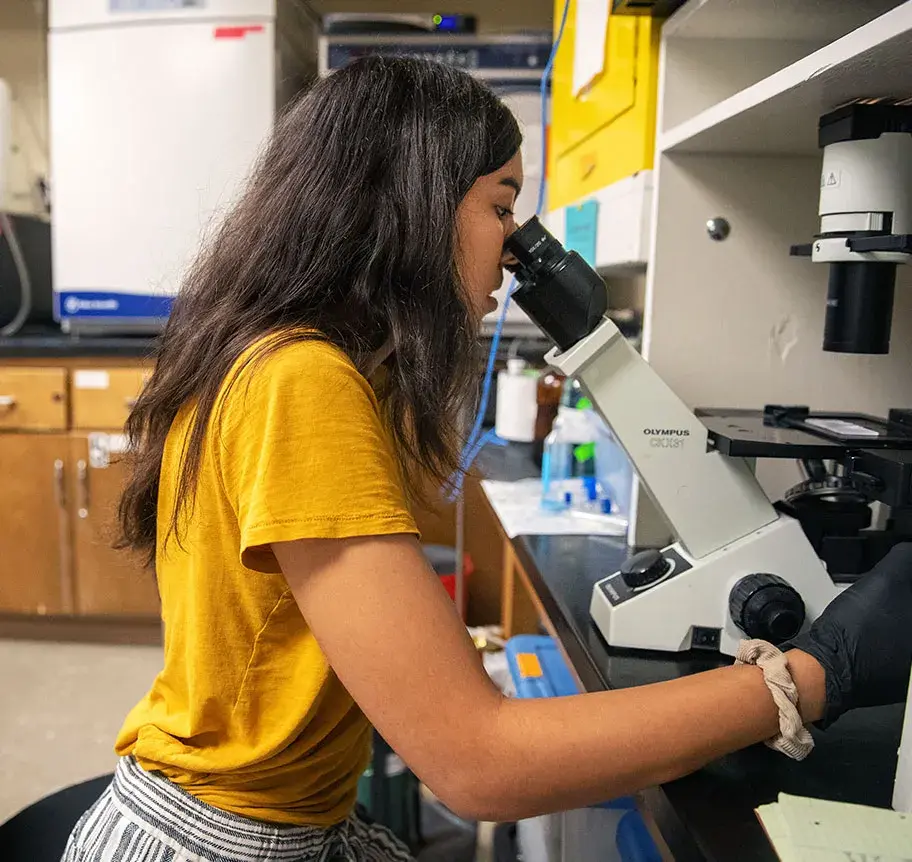 Biomedical physics student using microscope