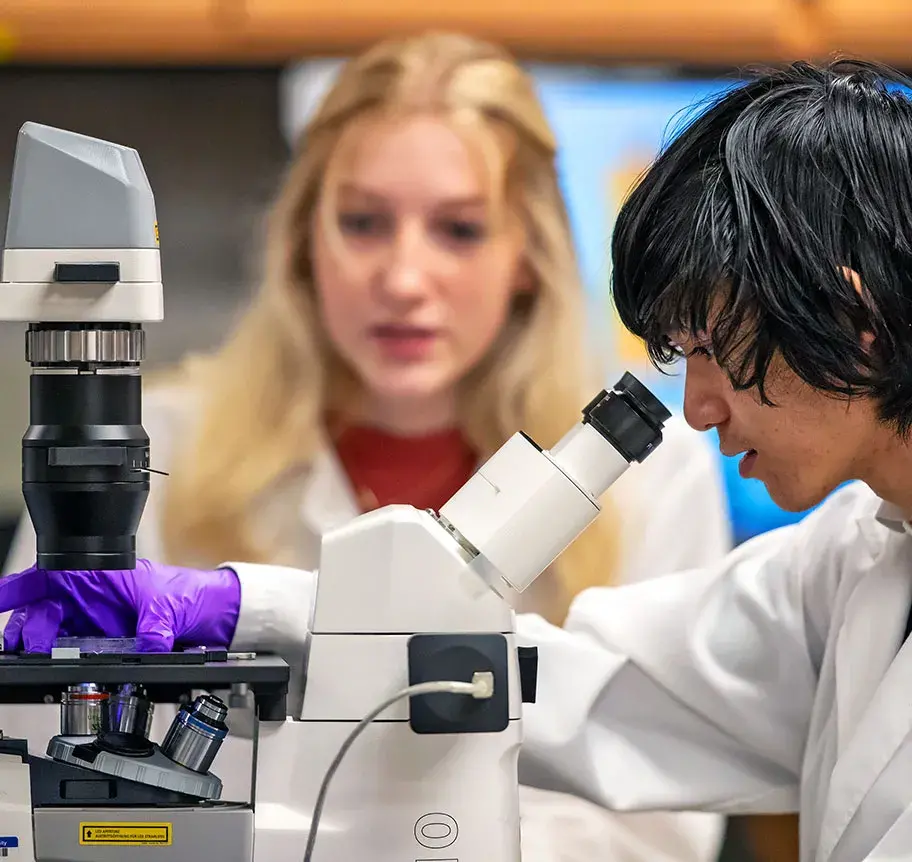 Physics students using microscope