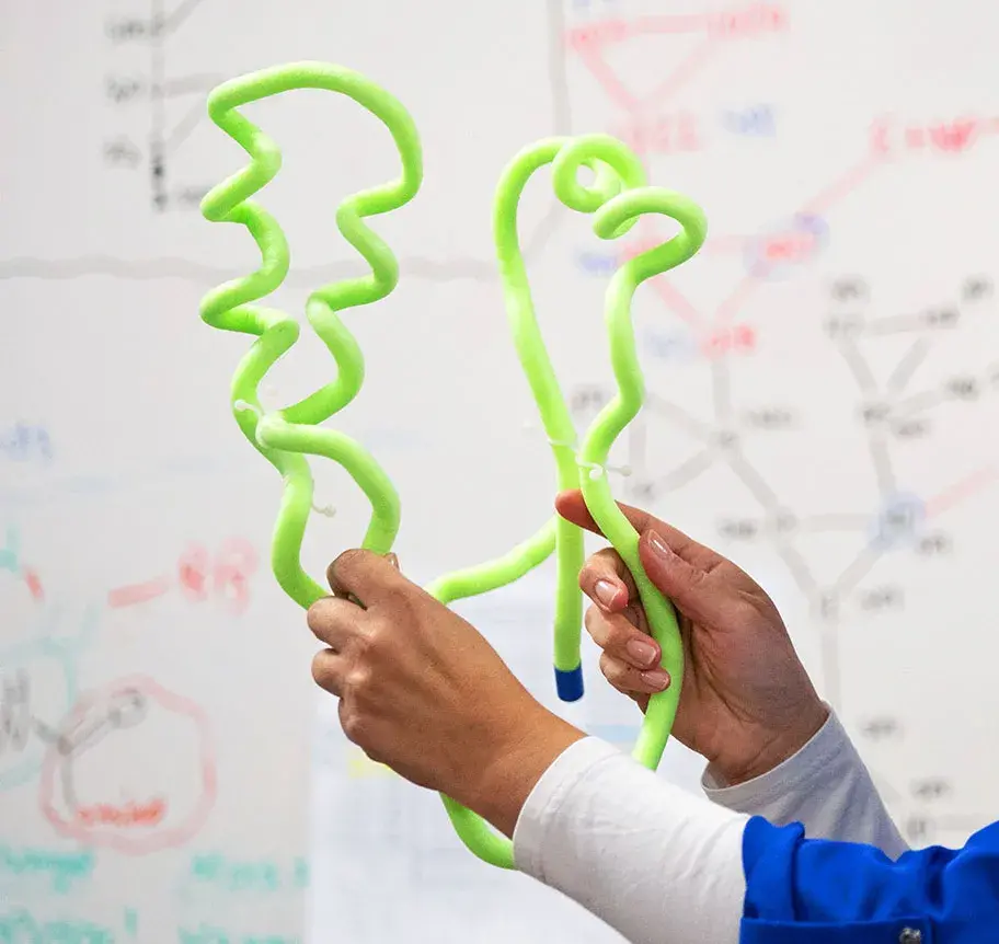 Physics model demonstration