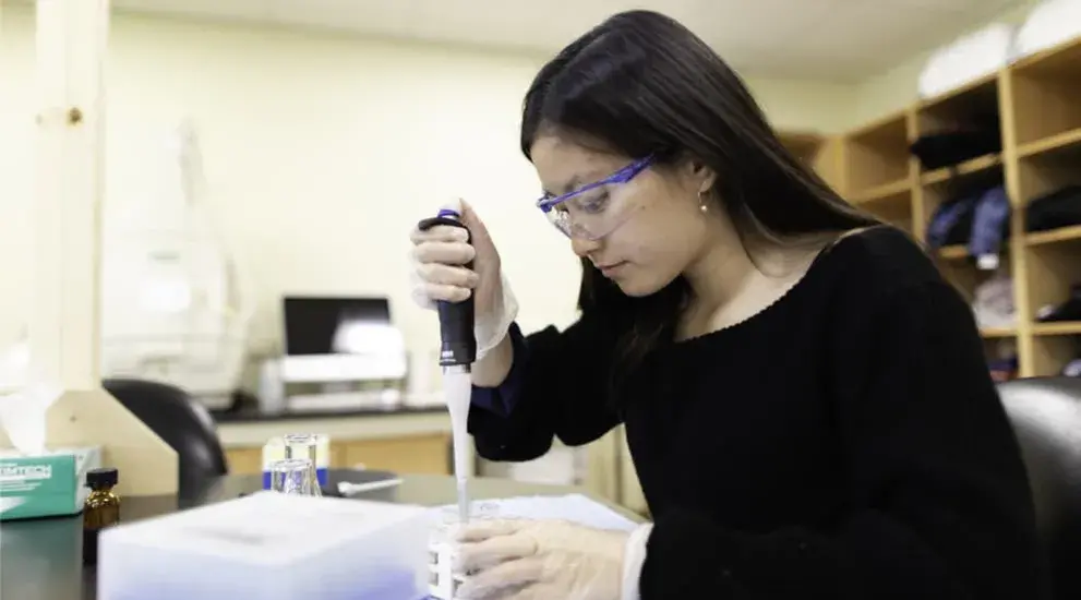 Diversity Research