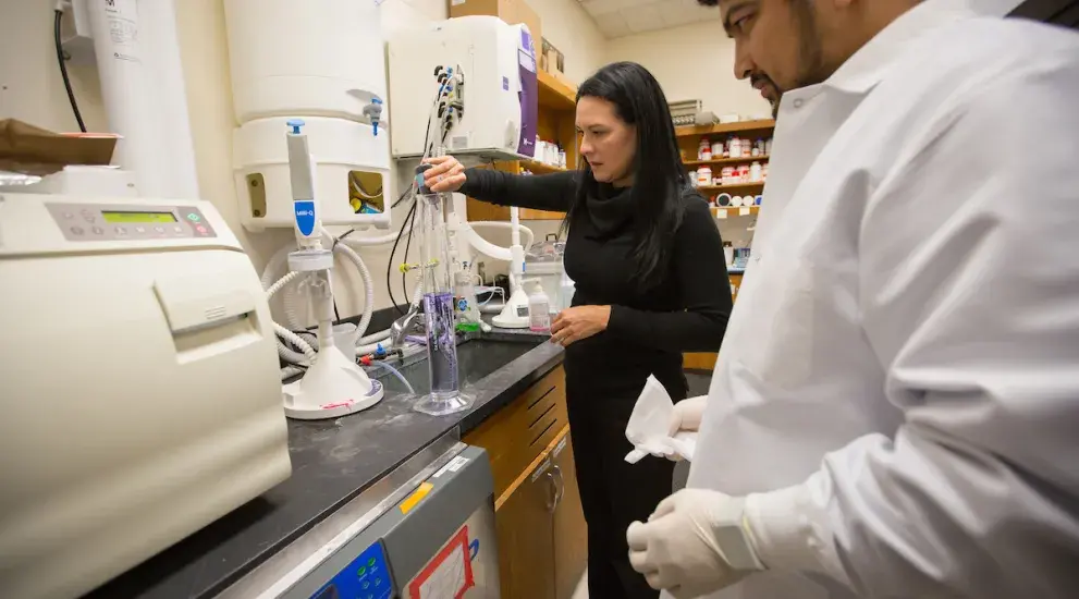 Dental faculty researching in lab environment