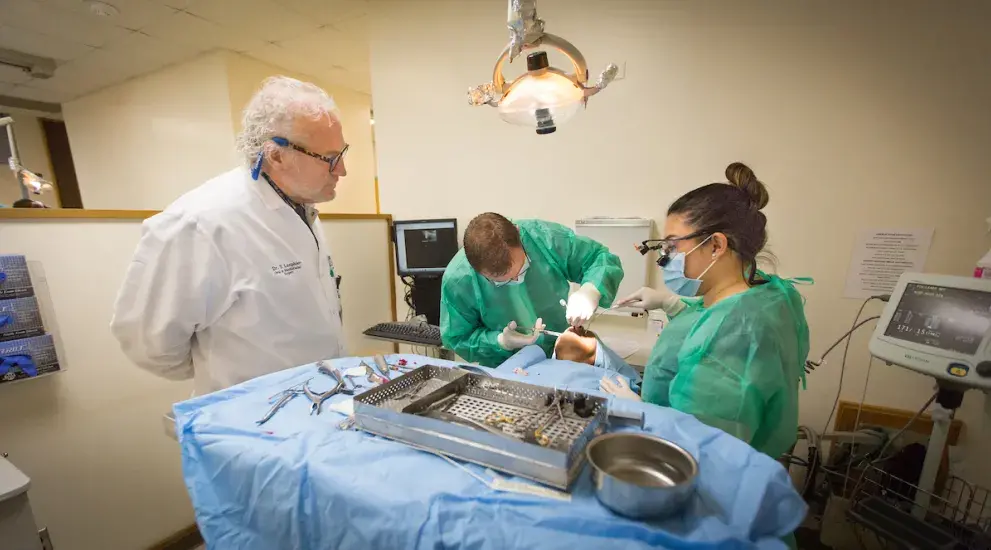 Dental Surgery procedure with doctor overseeing process.