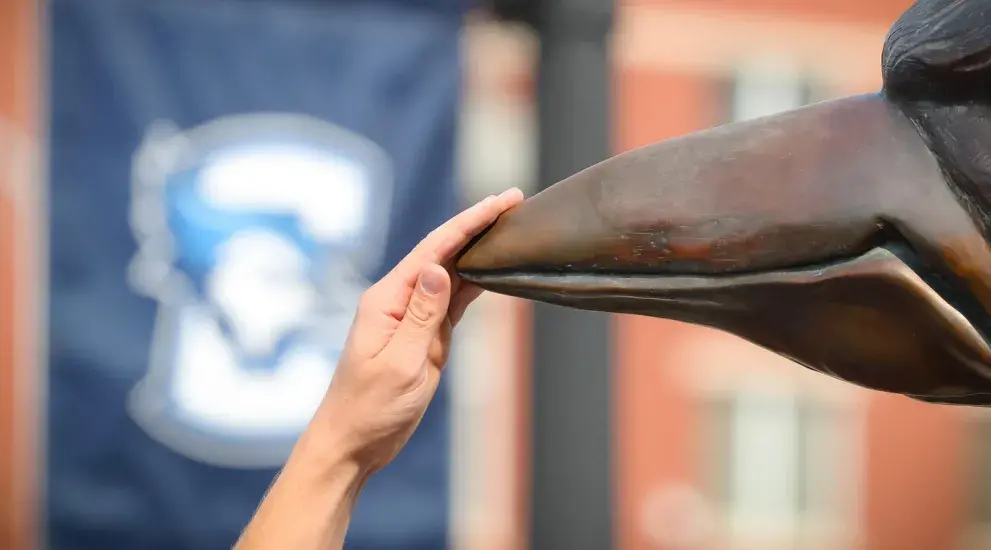 Bluejay statue being tapped on the beak.