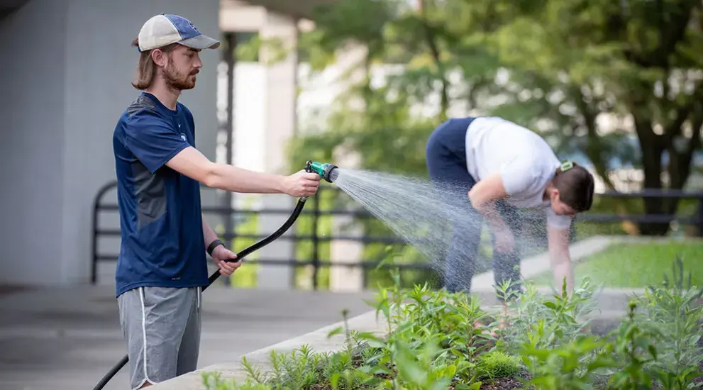 Students working on watering and weeding the garden.