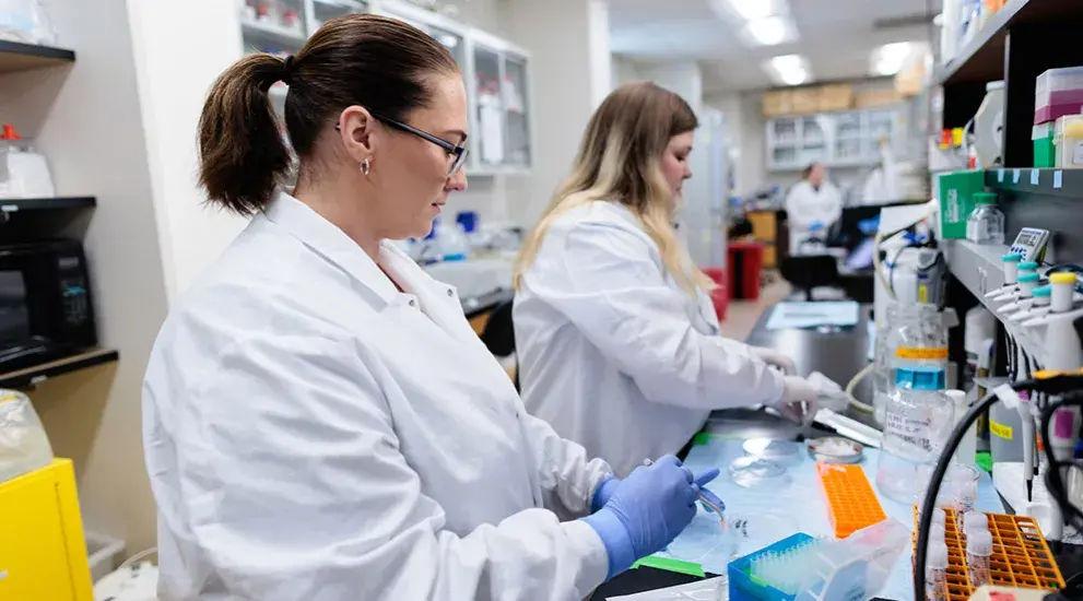 Students working together in lab