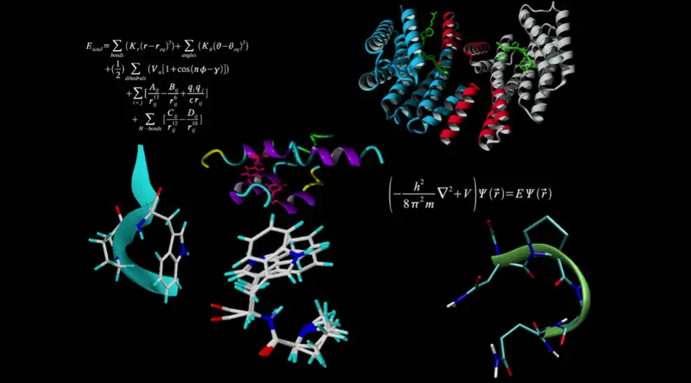 Protein structures