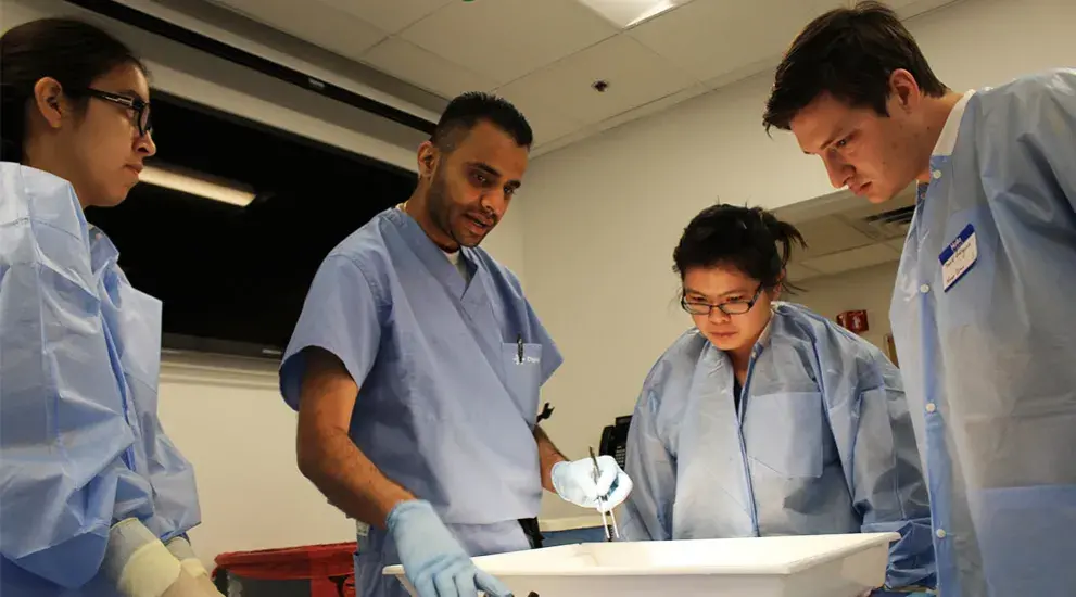 Surgeons discussing