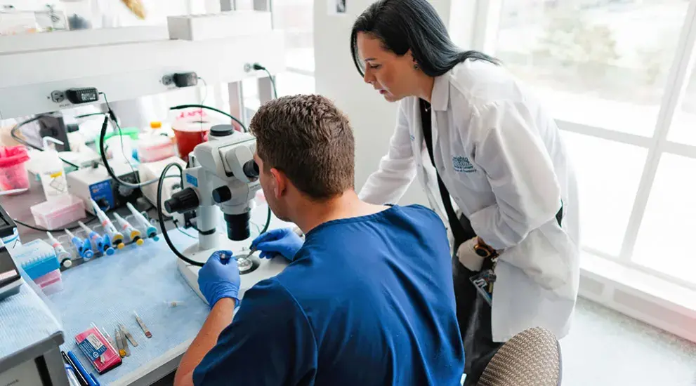 Dental student and professor using microscope