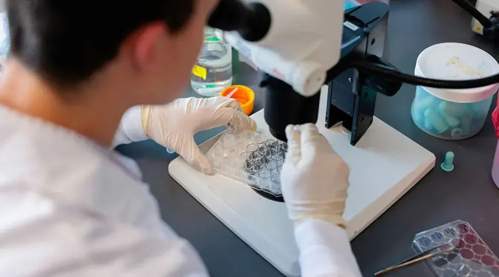Dental student using microscope