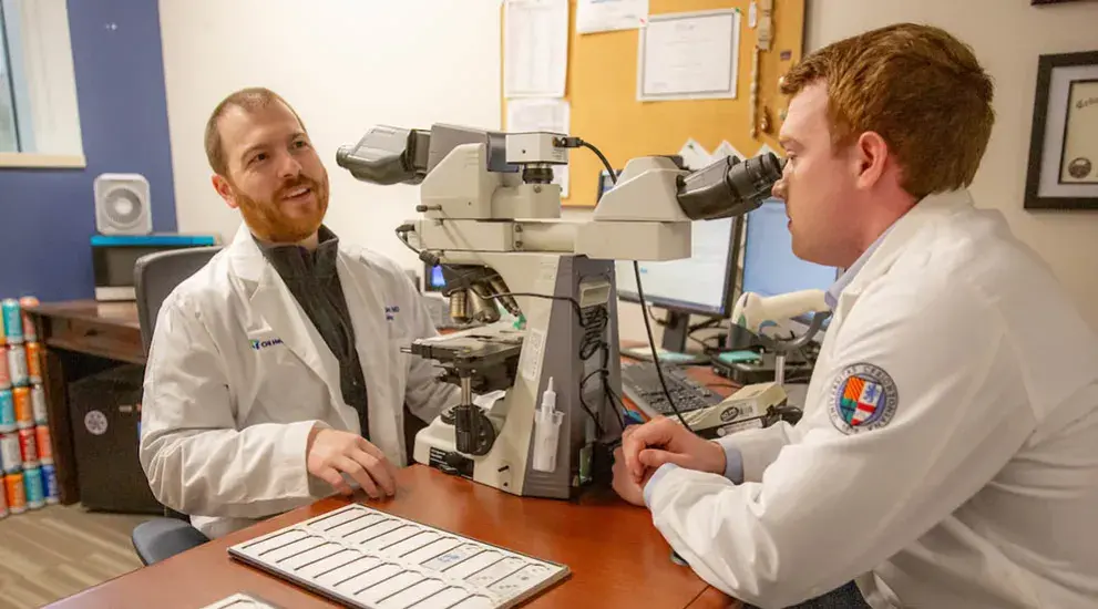 Medicine researchers in the lab