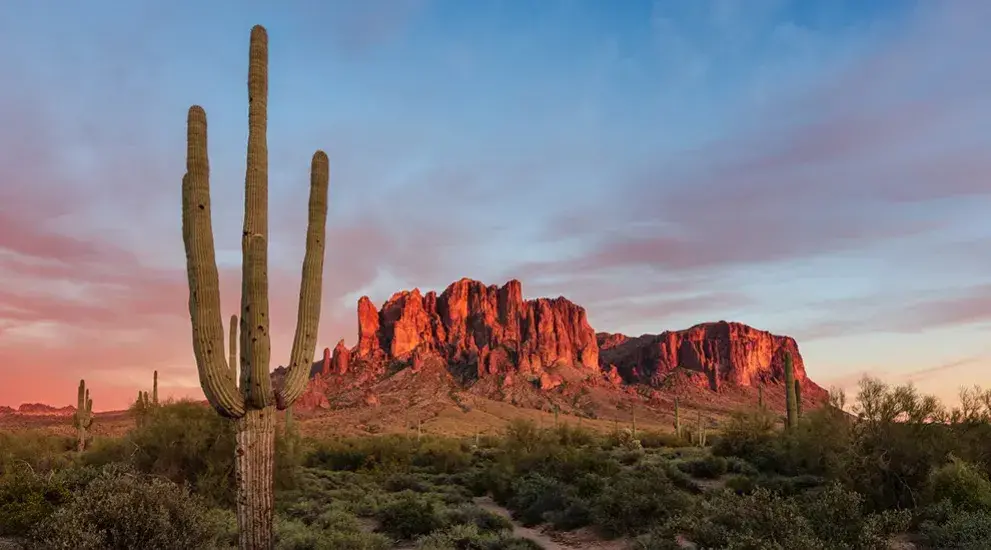 Arizona sunset with cactus and butte.