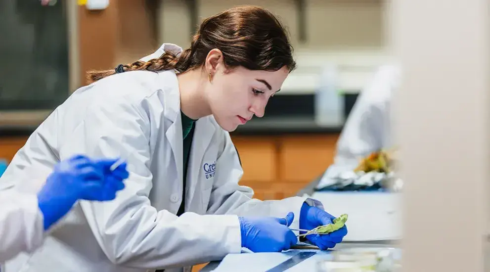 Student in Phillips Grant Lab