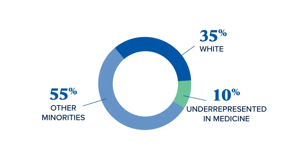 A donut chart displaying three demographic categories with percentages: Other Minorities at 55% (light blue), White at 35% (dark blue), and Underrepresented in Medicine at 10% (green).