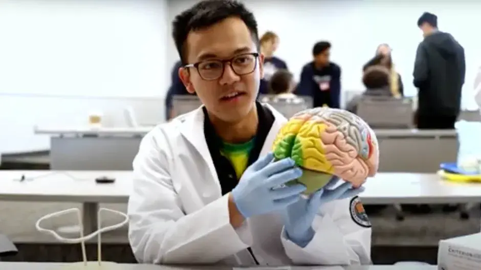 Classroom brain study.