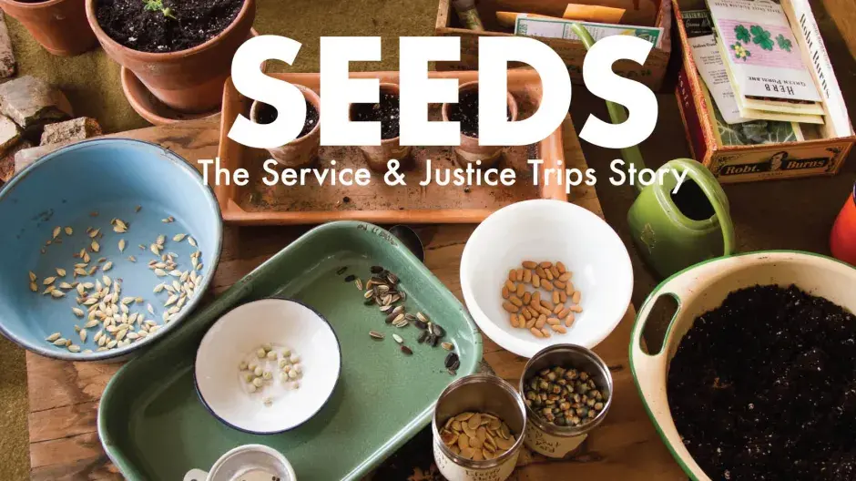 Table top with bowls and seeds